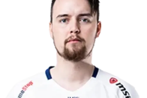gReazymeister